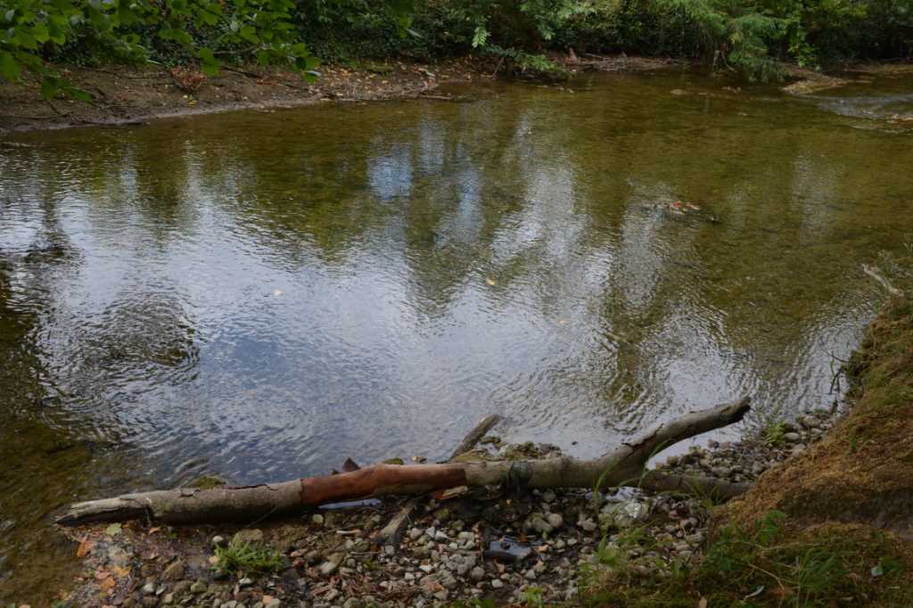 DSC_5783Mittel_.JPG